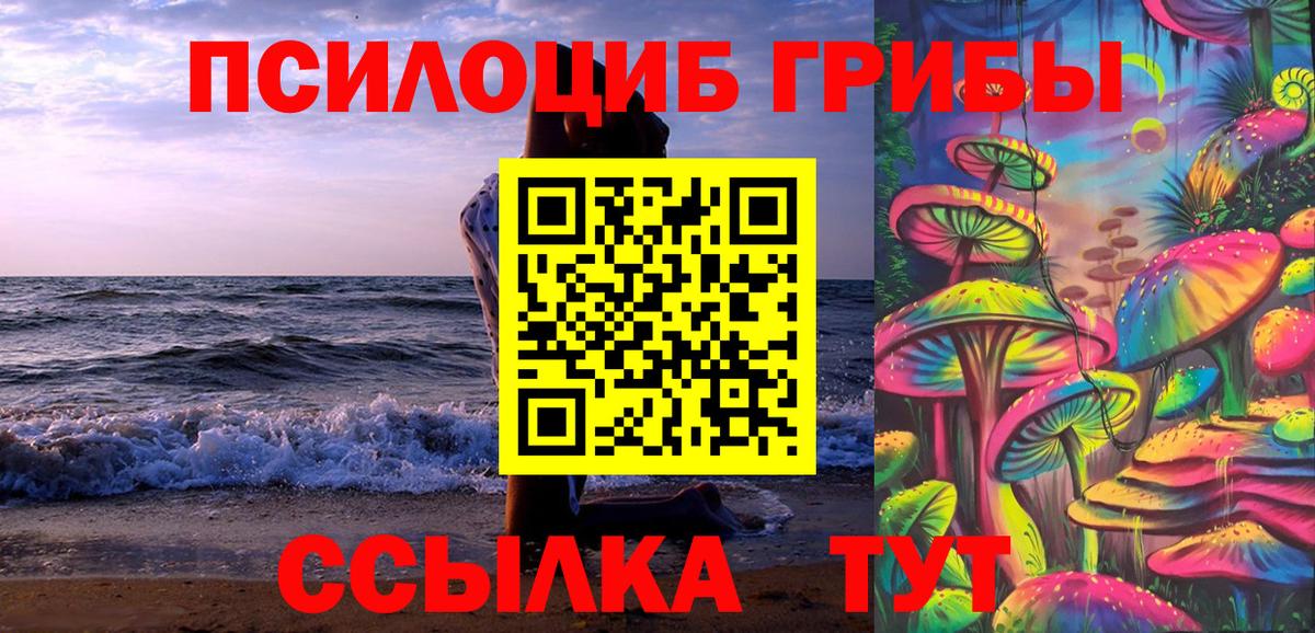 Псилоцибиновые грибы Psilocybine cubensis Северск
